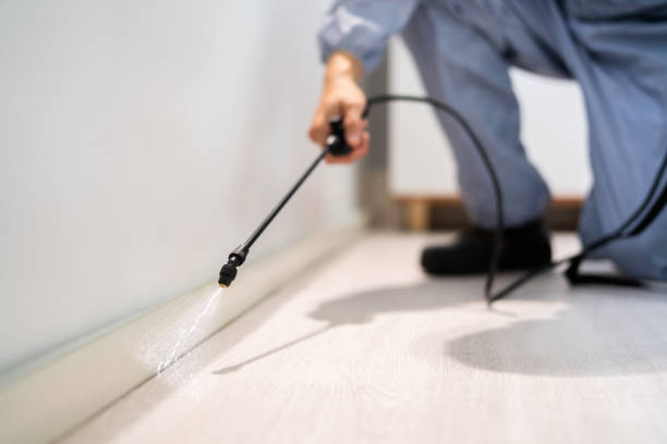 Certified termite inspector examining foundation in Laporte